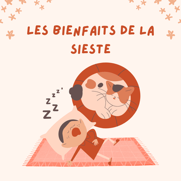 L'Art de la Sieste : Pourquoi et Comment l'Intégrer dans Votre Quotidien avec du Pilou Pilou 💤 - Pilou&Plush